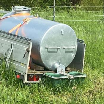 Preview: Extension drinking bowl TW 30 N