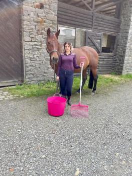 Preview: FORK SET 846 IN A BOX FORK SET 846 IN A BOX BLACK, STEM LENGTH 0,75 -1,20 M DIMENSION FORK 410x360x110 MM