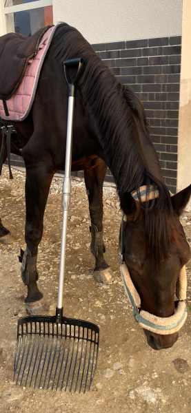 Pferd mit Mistgabel FU 846 